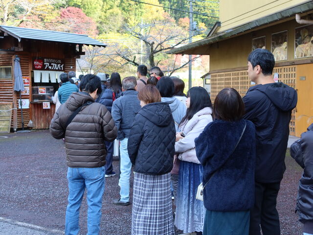 Xős_ܓc ꖡ̏h LN AbvpC@