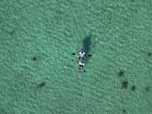 ���̊C�̓����x�Ɋ����I�I_COCOLAN