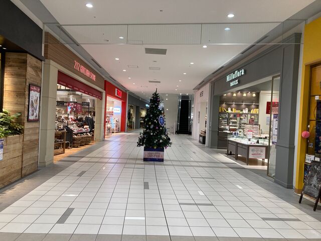 ���ہ[�ƊC�V��_���ہ[�ƊC�V��