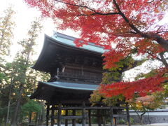 �j�R����񂳂�̉~�o���ւ̓��e�ʐ^1