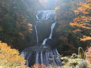 yosshy̑ܓc̑̓eʐ^3