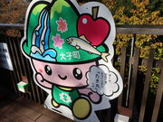 yosshy̑ܓc̑̓eʐ^5