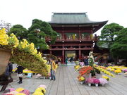 yosshẙ}Ԉא_Ђ̋e̓eʐ^5