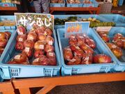 60̃Xm[{[h񂳂̖L쉷@񂲂̓̓eʐ^5