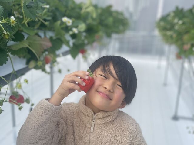 �C�`�S�D���̑��q�ł�_FUNDAYFARM