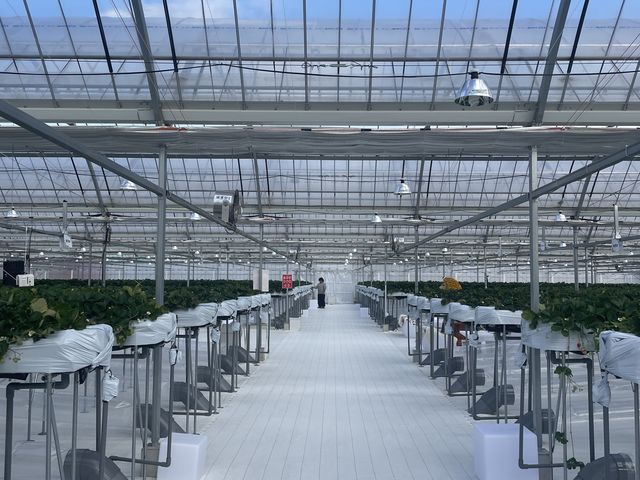 �ƂĂ��L�����Y��A������������܂����I_FUNDAYFARM