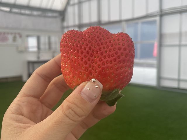 �傫�ȃC�`�S�I_FUNDAYFARM