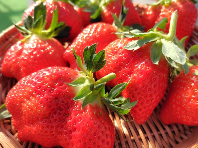 �������I_���ڂ�������