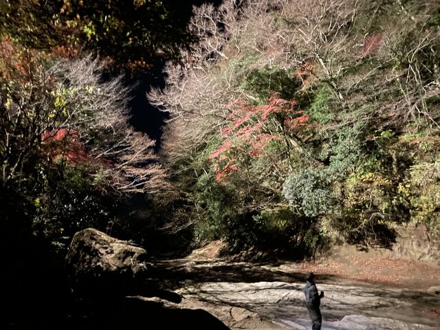 �����炪�{�����Y��ł����B_�{�V�k�J