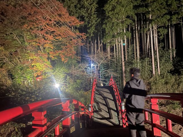 �L���ȋ��ł��B_�{�V�k�J