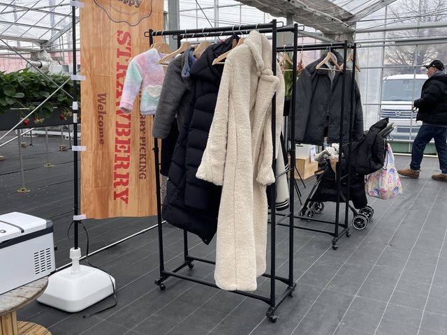 �R�[�g�|��_Berry Happy