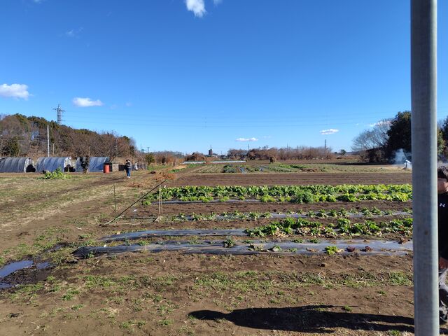 ���V�C�I_�����n���_��