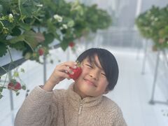 osadamaFUNDAYFARMւ̓eʐ^1