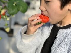 񂳂̃AOX^[XyVւ̓eʐ^3