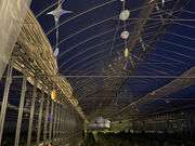 THE FARM 󂢂̓eʐ^3