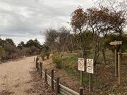 EbL[̊}Ԏŝ̓eʐ^1