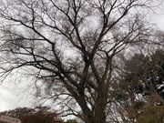 EbL[̊}Ԏŝ̓eʐ^1