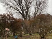 EbL[̊}Ԏŝ̓eʐ^1