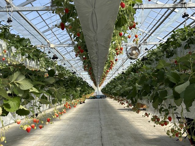 ���̏�܂ŁI_�t�@�[������� �É͓X