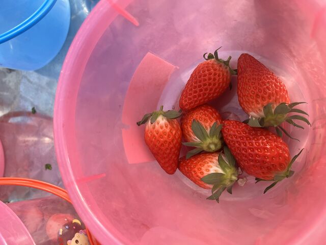 ���̃o�P�c��2�t�����炢�H�ׂ܂���_�������̉���