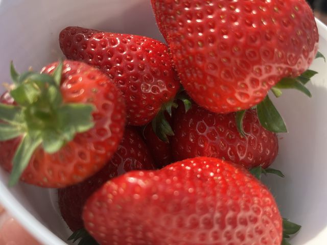 ���C�����N�C�[��_����(�䂢)�t�@�[��