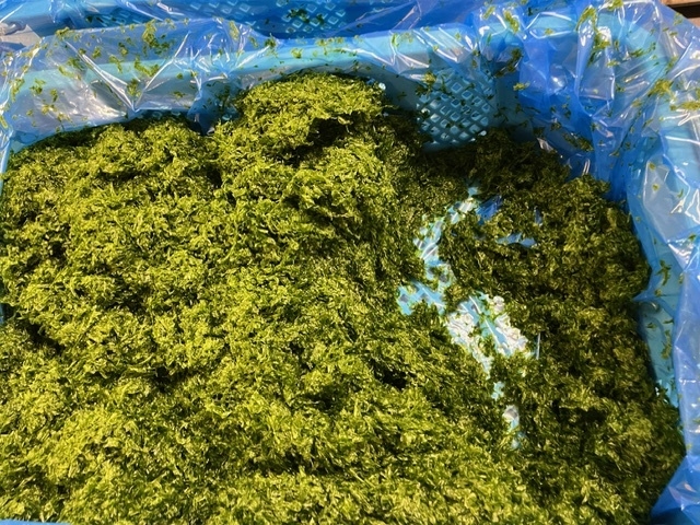 �̂ꂽ�Ă̂�����_����Y