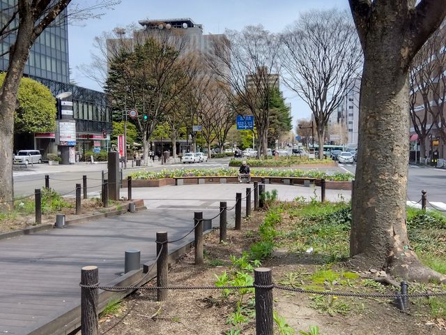 �t��������_��T����