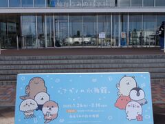 �a����̐�䂤�݂̓m�����قւ̓��e�ʐ^1