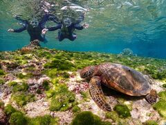 SҐ{ÓVm[POcA[̎ʐ^2