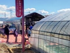 CNũXgx[h}ւ̓eʐ^1