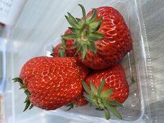 Ƃ񂳂̌ct@[ւ̓eʐ^1