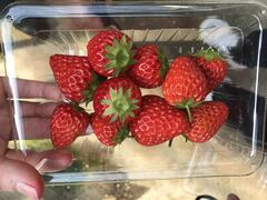 ryujǐct@[ւ̓eʐ^1