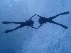 ӂӂ邳̃JbNNu@ObhCtւ̓eʐ^1