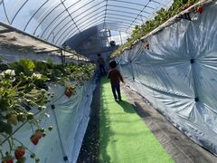 ݂[̂񂿂ނւ̓eʐ^2