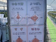 ݂[̂񂿂ނւ̓eʐ^3