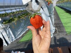 ݂[̂񂿂ނւ̓eʐ^4