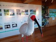 60��̃X�m�[�{�[�h�������񂳂�̃g�L�̃e���X�̓��e�ʐ^3