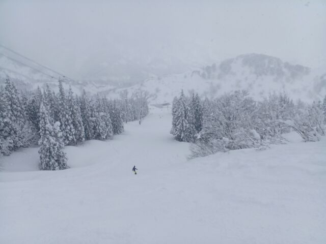 2��20�� �ؗj���B ��̗ʂ����[�Ȃ��ł�_�Z�������C�R�X�L�[��