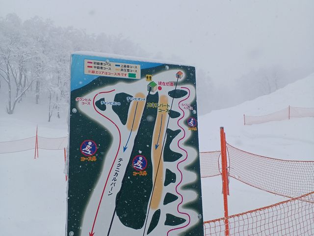 3��7�� ���j���B�@���[�v�E�F�C �R���~���t�߁B���ς�炸 ��̗ʂ����̂������ł�_�Z�������C�R�X�L�[��