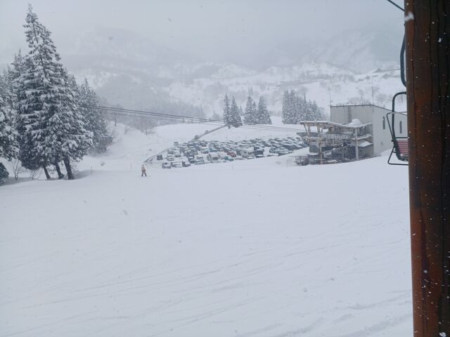 �Q�����f���猩���A���[�v�E�F�C �O ���ԏ�B ���ԏ�����͂� ��̕ǂ̍��������[�Ȃ��ł��I_�Z�������C�R�X�L�[��