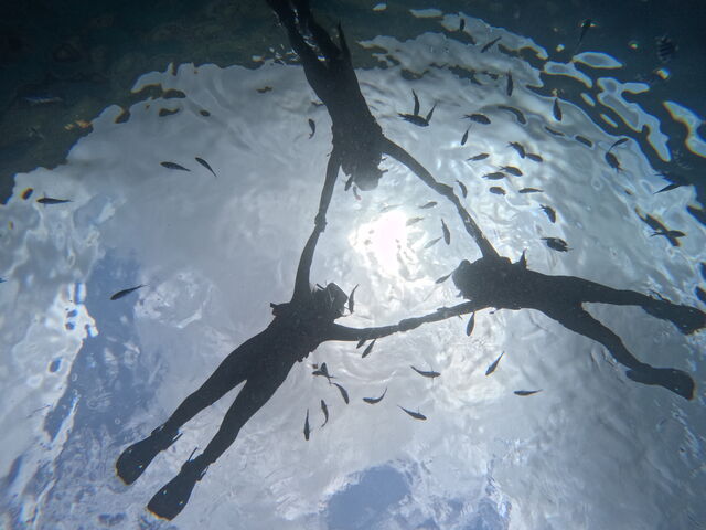 �V���m�[�P���ō��I_CHILL DIVE