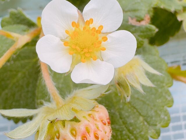 䕂̗l�q3_�J���ό���������