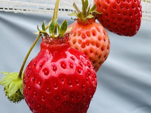 䕂̗l�q5_�J���ό���������