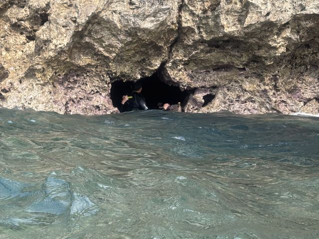 �����������ł�_�A�N�A�x�[�X