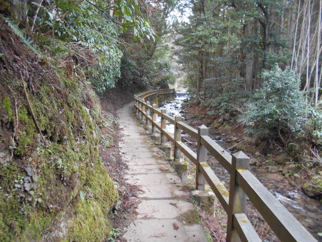 �������R�����Ό���R�X���R�[�X