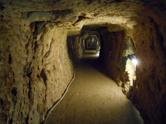 �g�V���[����̗������ԕ��ւ̓��e�ʐ^1