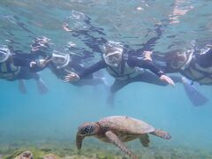 ^J񂳂nico {Óւ̓eʐ^1