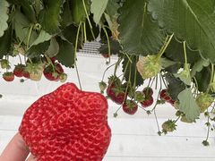 [L[̌(䂢)t@[ւ̓eʐ^1