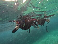 y u̐Ί_ ADVENTURE PiPiւ̓eʐ^1