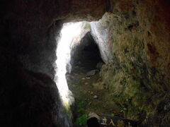 �g�V���[����̗������ԕ��ւ̓��e�ʐ^1